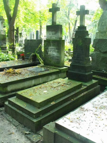 Zdjęcie grobu Franciszek Bursiak (1)