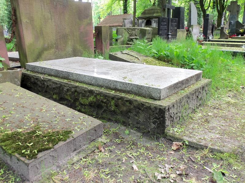 Zdjęcie grobu Apolonia Gorczycka (2)