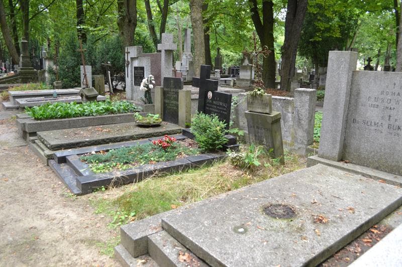 Zdjęcie grobu: Józefa Marciniak