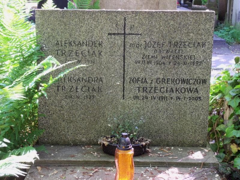 Zdjęcie grobu Aleksandra Trzeciak (2)