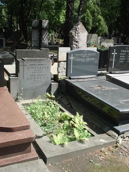 Zdjęcie grobu Eufemia Ciupalska (1)