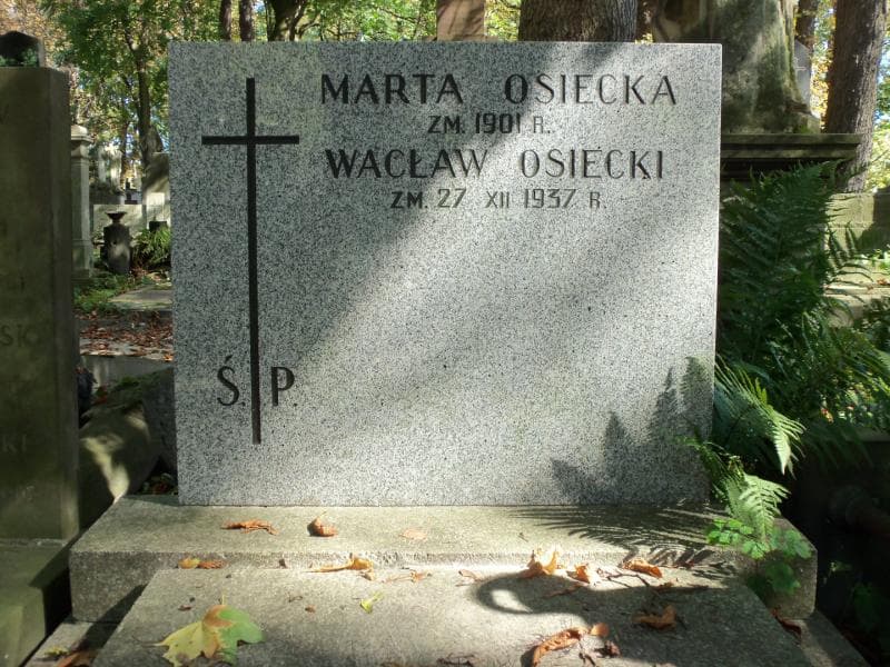 Zdjęcie grobu Wacław Osiecki (2)