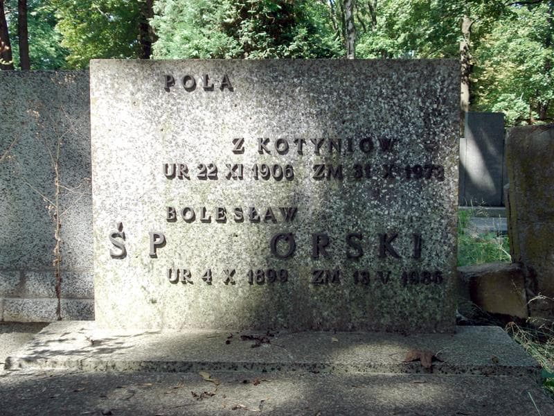 Zdjęcie grobu Bolesław ......órski (1)