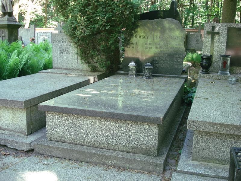 Zdjęcie grobu: Józef Tomaszewski