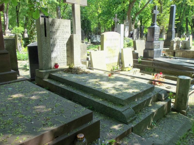 Zdjęcie grobu Henryk Dzięgielewski (1)
