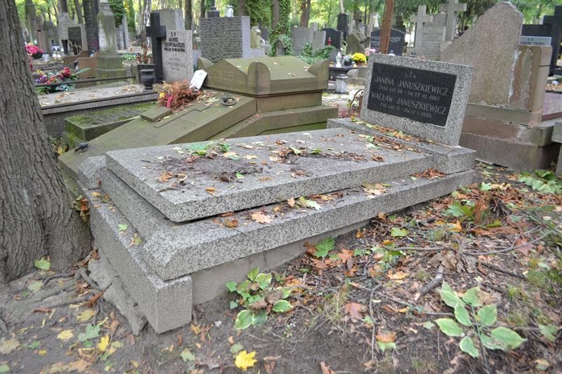 Zdjęcie grobu: Wacław Januszkiewicz