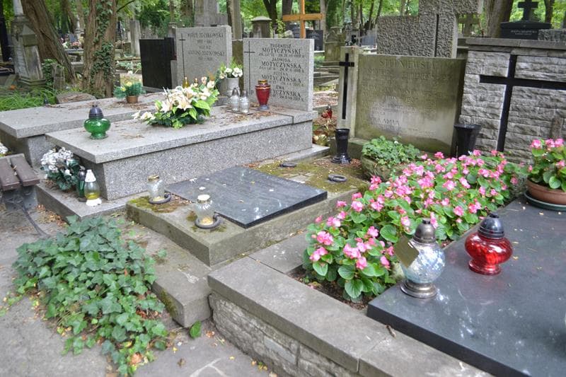Zdjęcie grobu: Janina Wanda Stępniewska