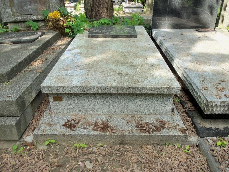 Zdjęcie grobu: Eleonora Wanda Jarmużyńska