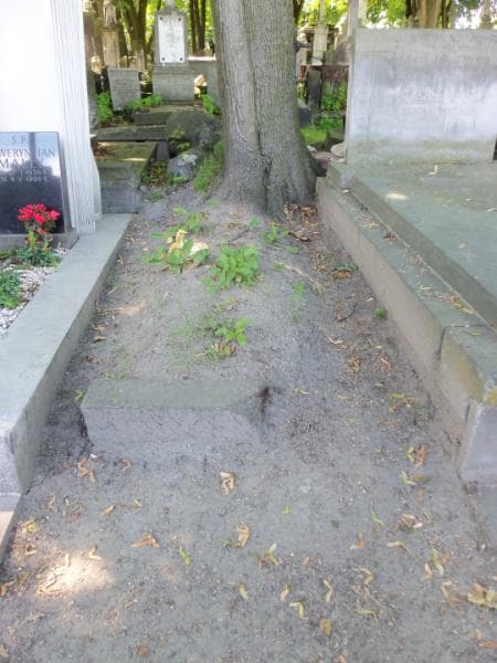 Zdjęcie grobu: Benedykt Chmielewski