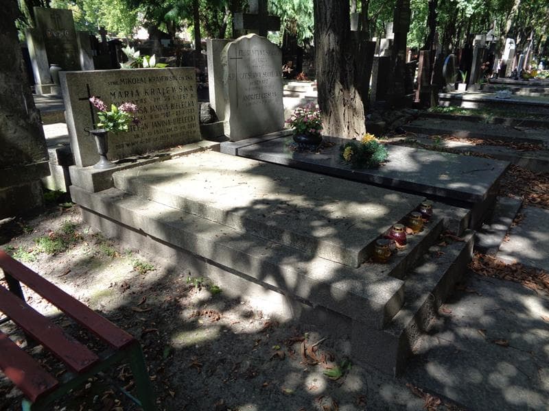 Zdjęcie grobu: Stefan Janina-Bielecki
