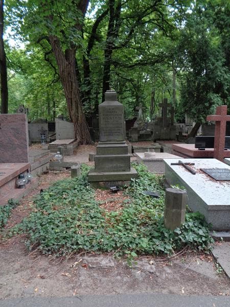 Zdjęcie grobu Joanna Henich (1)
