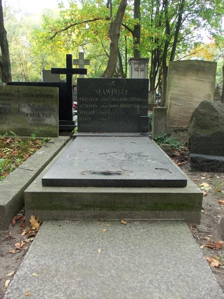 Zdjęcie grobu: Stanisława Sławińska