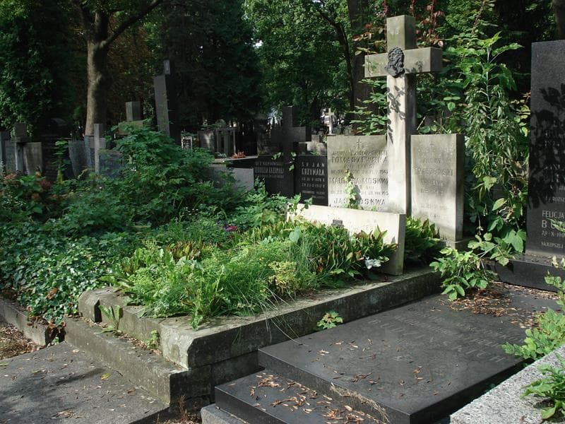 Zdjęcie grobu Zygmunt Tomaszewski (1)