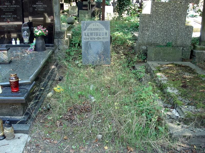 Zdjęcie grobu: Stanisław Lewinson