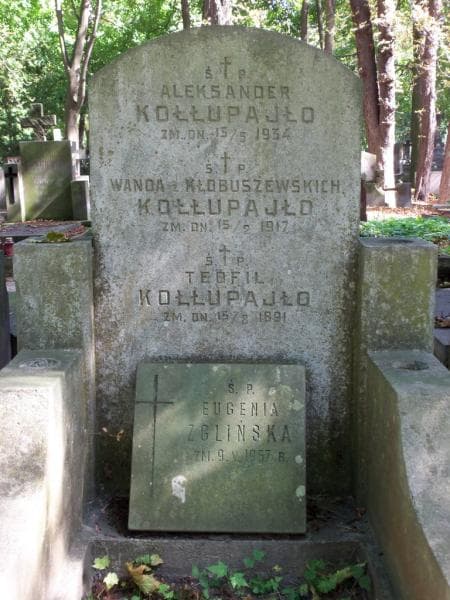 Zdjęcie grobu Wanda Kołłupajło (2)