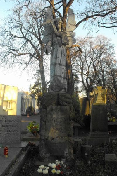 Zdjęcie grobu Stanisława Baszkiewicz (2)