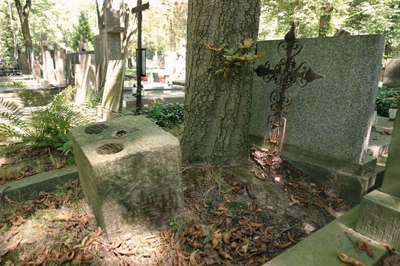 Zdjęcie grobu Feliks Strzyżewski (2)