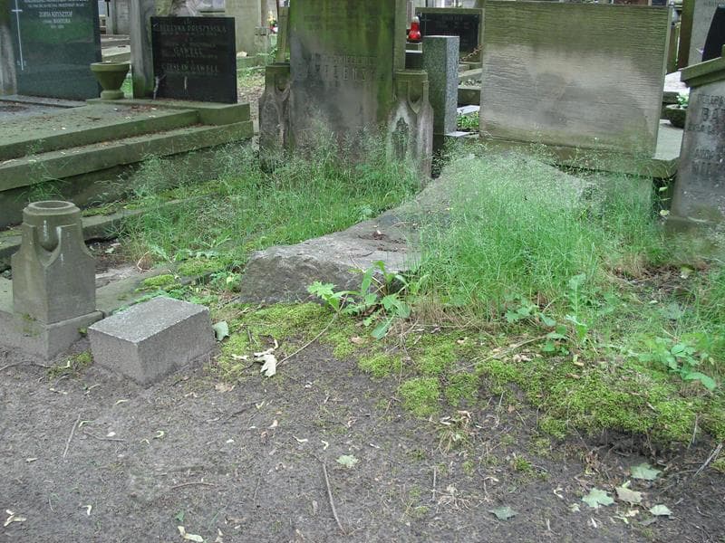 Zdjęcie grobu Juliusz Rothe (1)
