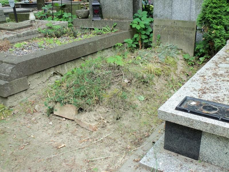 Zdjęcie grobu Mieczysław Markusfeld (1)