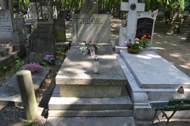 Zdjęcie grobu Andrzej Lipiński (1)