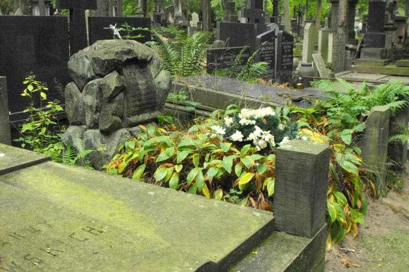 Zdjęcie grobu Aleksander Dziubiński (1)