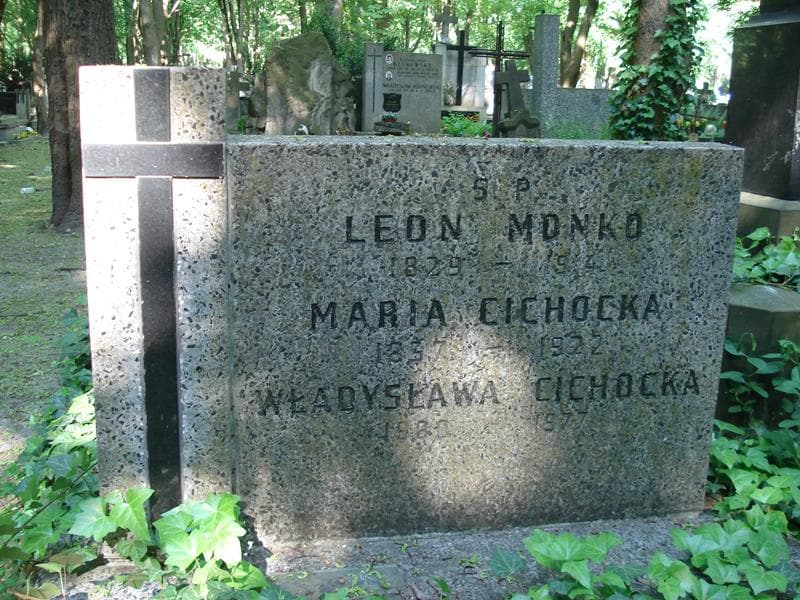 Zdjęcie grobu Władysława Cichocka (1)