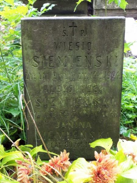 Zdjęcie grobu Wiesio Siemieński (2)