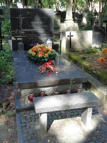 Zdjęcie grobu Antoni Dobrowolski (1)