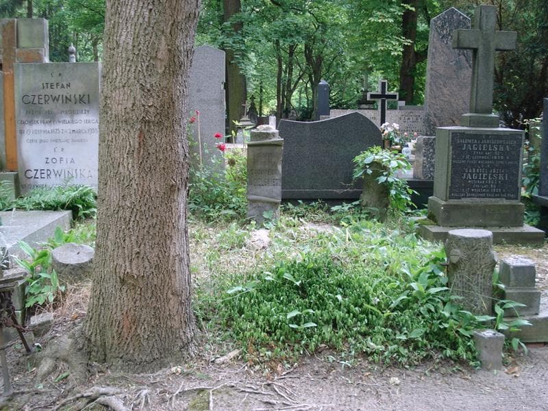 Zdjęcie grobu Gabryel Jagielski (1)