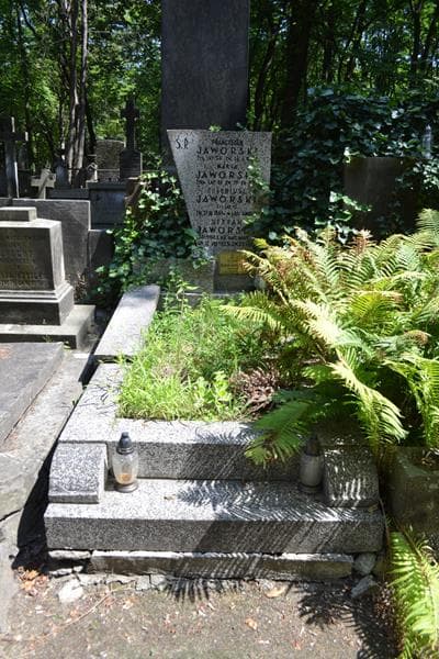 Zdjęcie grobu Franciszek Jaworski (1)
