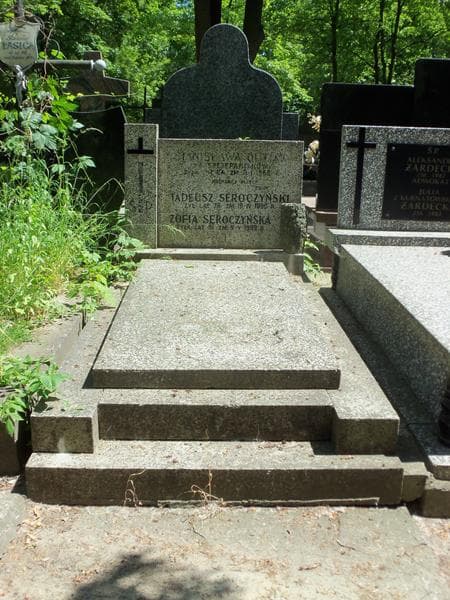 Zdjęcie grobu: Stanisława Olczak
