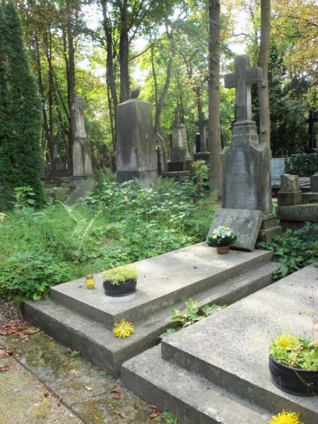 Zdjęcie grobu Wieńczysław Niewiarowski (1)