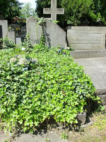 Zdjęcie grobu: Romana Lubodziecka