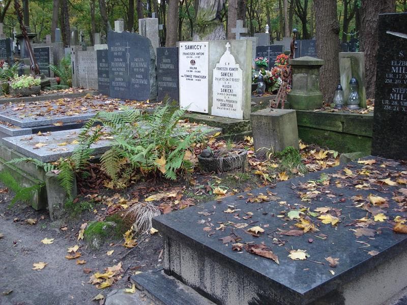 Zdjęcie grobu Józef Chmielewski (1)