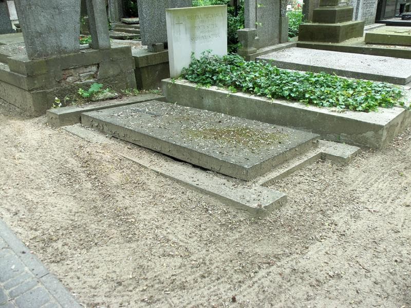 Zdjęcie grobu Stanisław Andrzejewski (1)