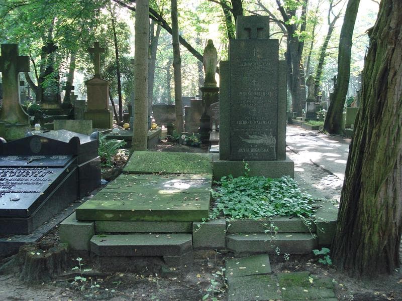 Zdjęcie grobu: Eugeniusz Colonna-Walewski