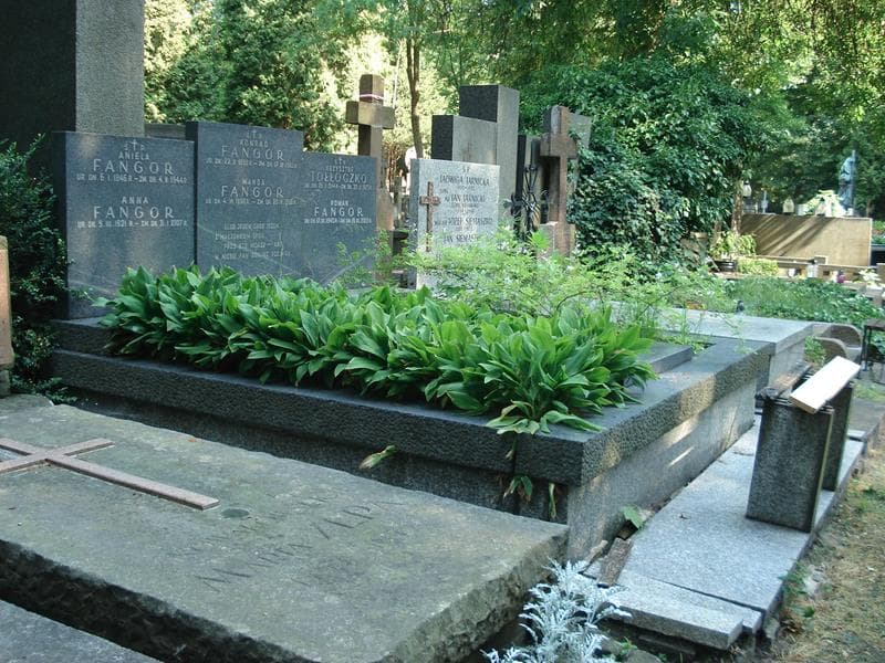 Zdjęcie grobu Krzysztof Tołłoczko (1)