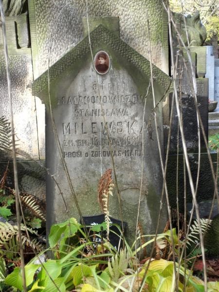 Zdjęcie grobu Stanisława Milewska (2)