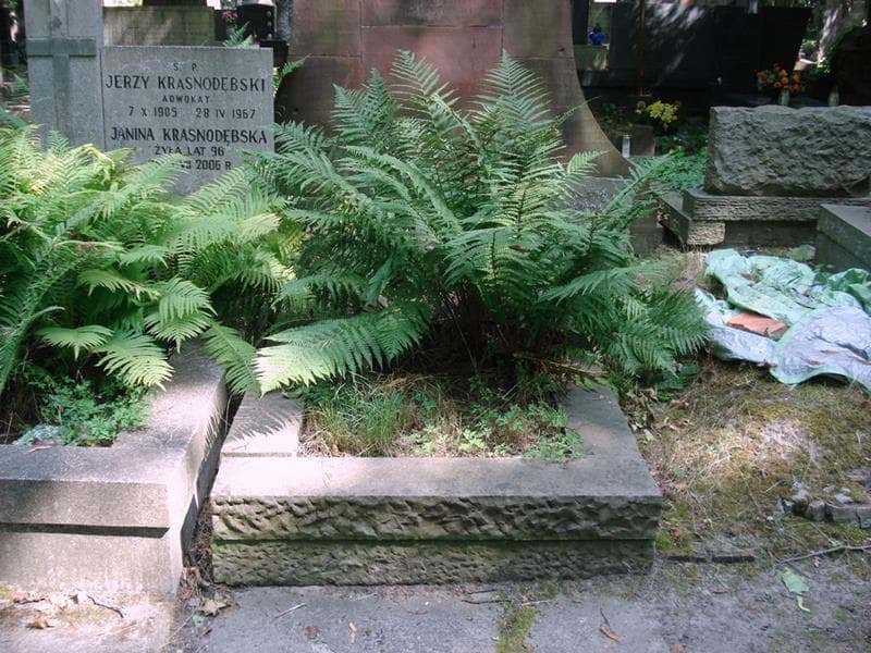 Zdjęcie grobu Eugenia Osadca (1)
