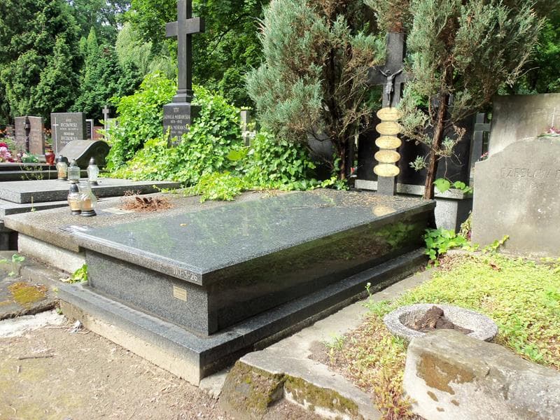 Zdjęcie grobu Stanisław Lewandowski (1)