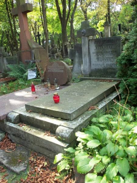 Zdjęcie grobu Mieczysław Majewski (1)