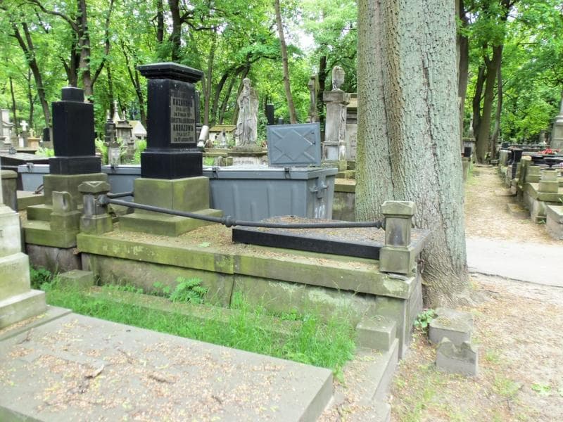Zdjęcie grobu Ernestyna Arbuzowa (1)
