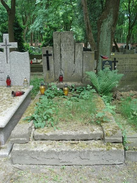 Zdjęcie grobu: Romuald Kozłowski