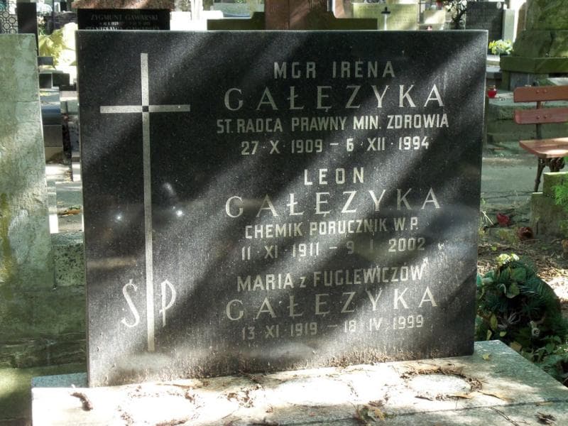 Zdjęcie grobu Antoni Bagiński (2)