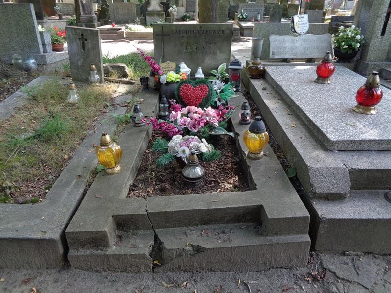 Zdjęcie grobu Zofia Hipsz (1)