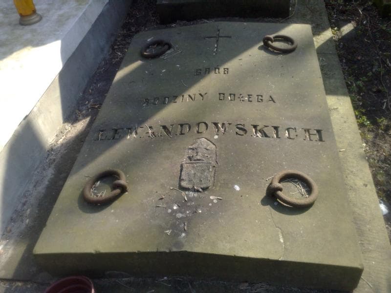 Zdjęcie grobu Rozalia Lewandowska (2)