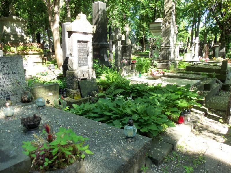 Zdjęcie grobu Helena Jander (1)