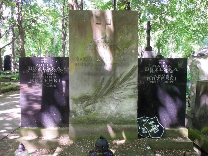 Zdjęcie grobu Zofia Brzeska (2)
