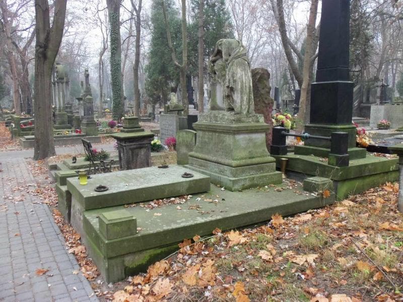 Zdjęcie grobu Sława Makowska (1)