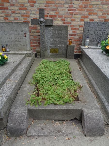Zdjęcie grobu Zofia Bartosik (1)
